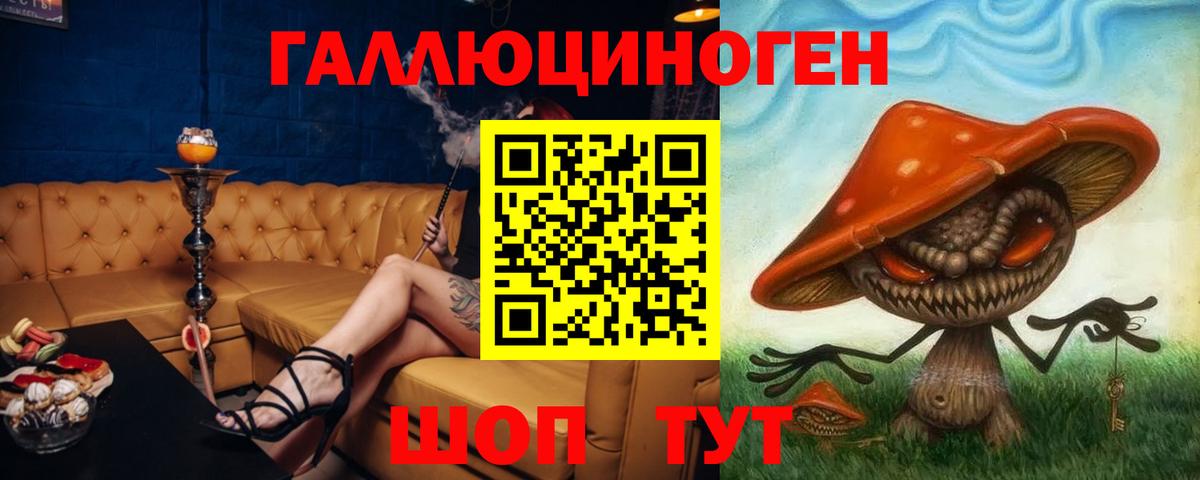 Кувандык  Галлюциногенные грибы Cubensis  Вход с VPN 